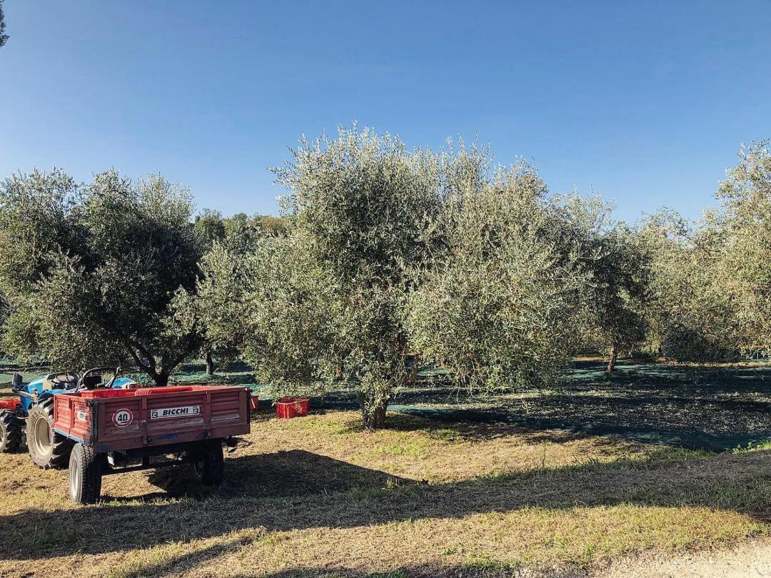 Villa Monteporzano Orvieto Luaran gambar