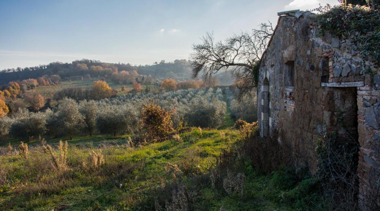 Villa Monteporzano Orvieto Bilik gambar